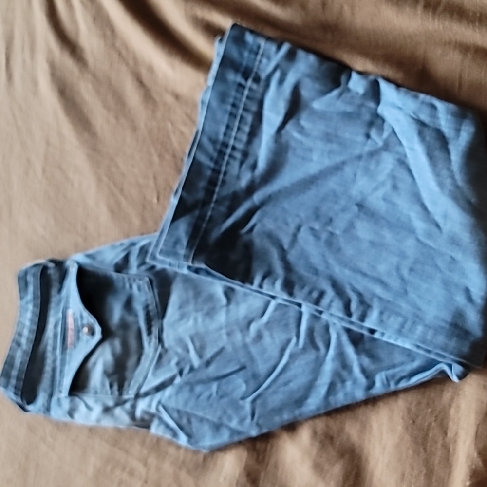 Hudson trouser low rise jeans 29